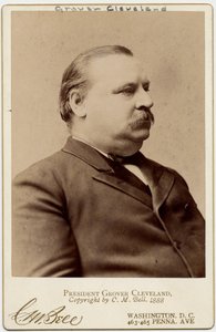 स्टीफन ग्रोवर क्लीवलैंड (1837-1908), संयुक्त राज्य अमेरिका के 22 वें और 24 वें राष्ट्रपति (एल्बम फोटो)